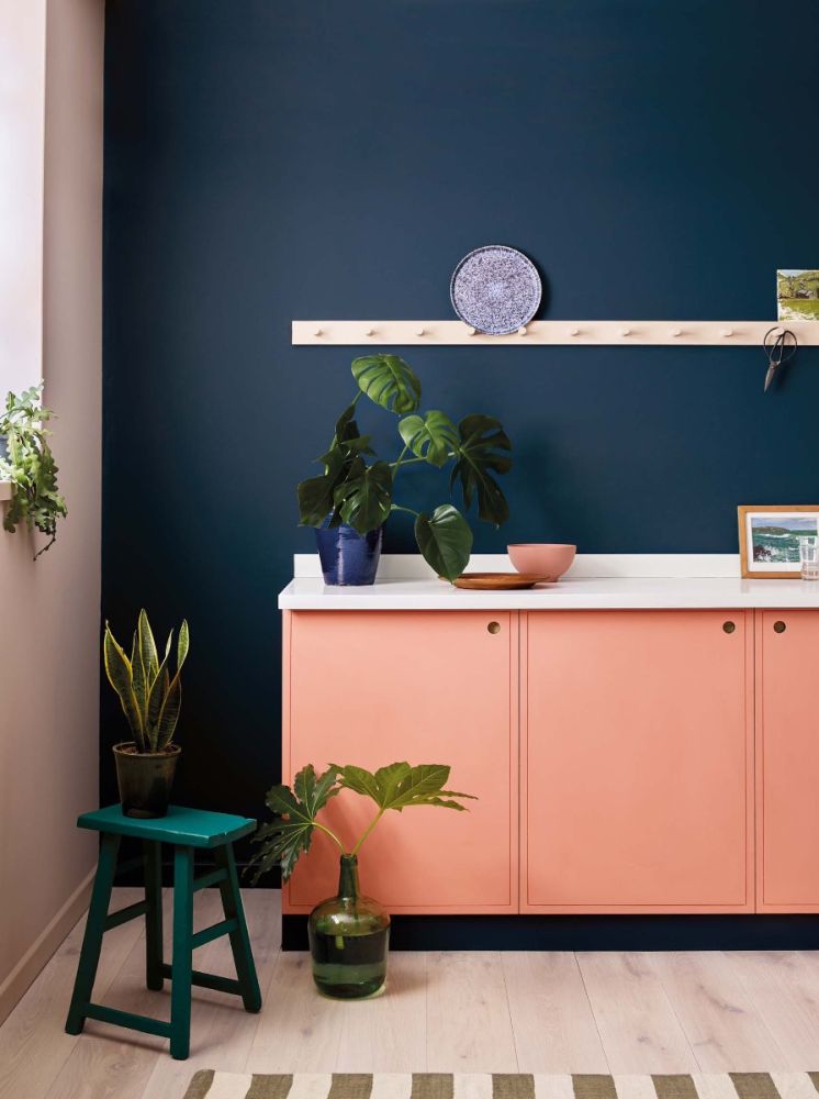 Judy's Jewel Eco Friendly Vegan Paint Emulsion & Eggshell