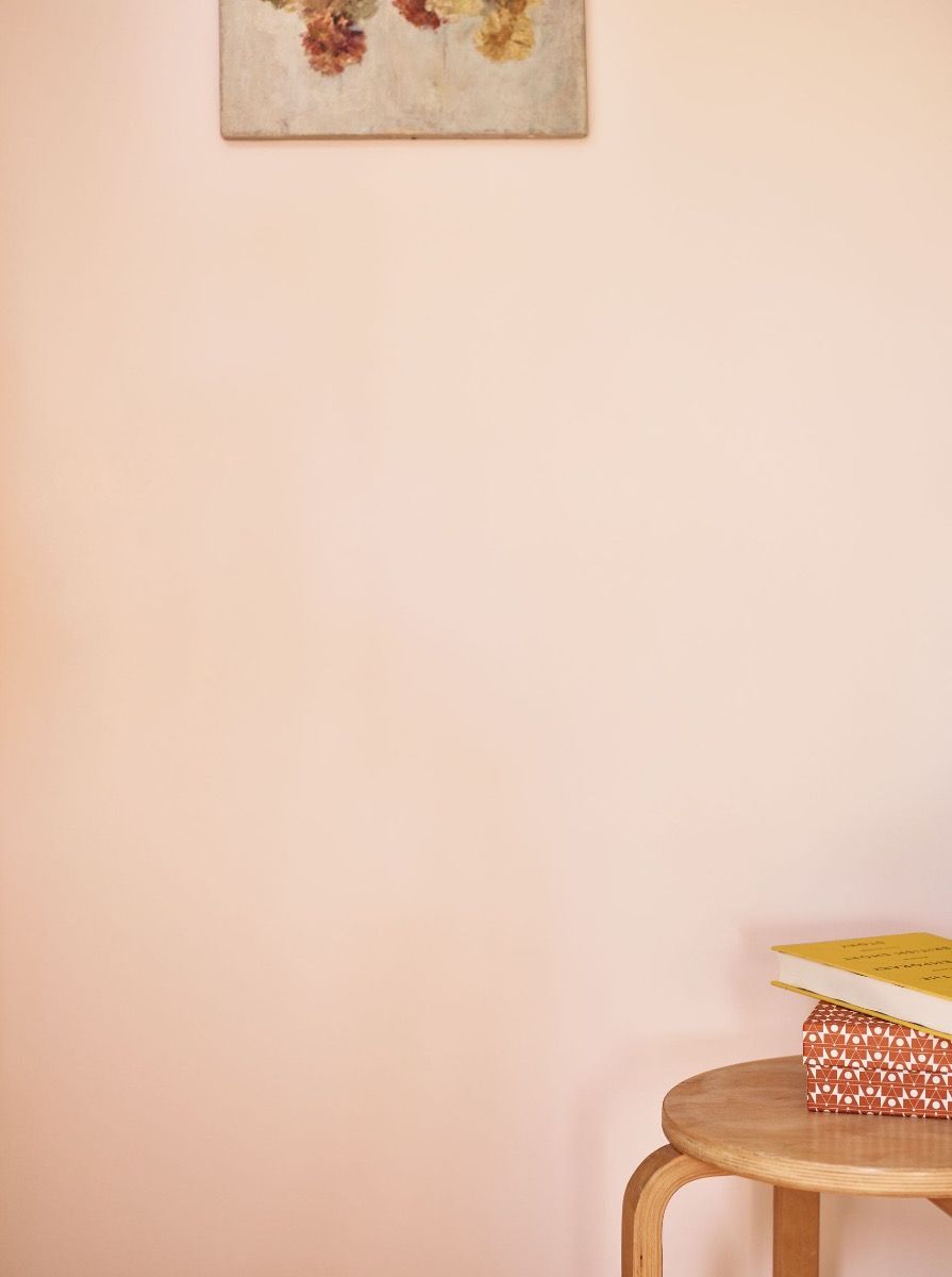 Powderpuff | Eco Friendly Vegan Paint | Emulsion & Eggshell