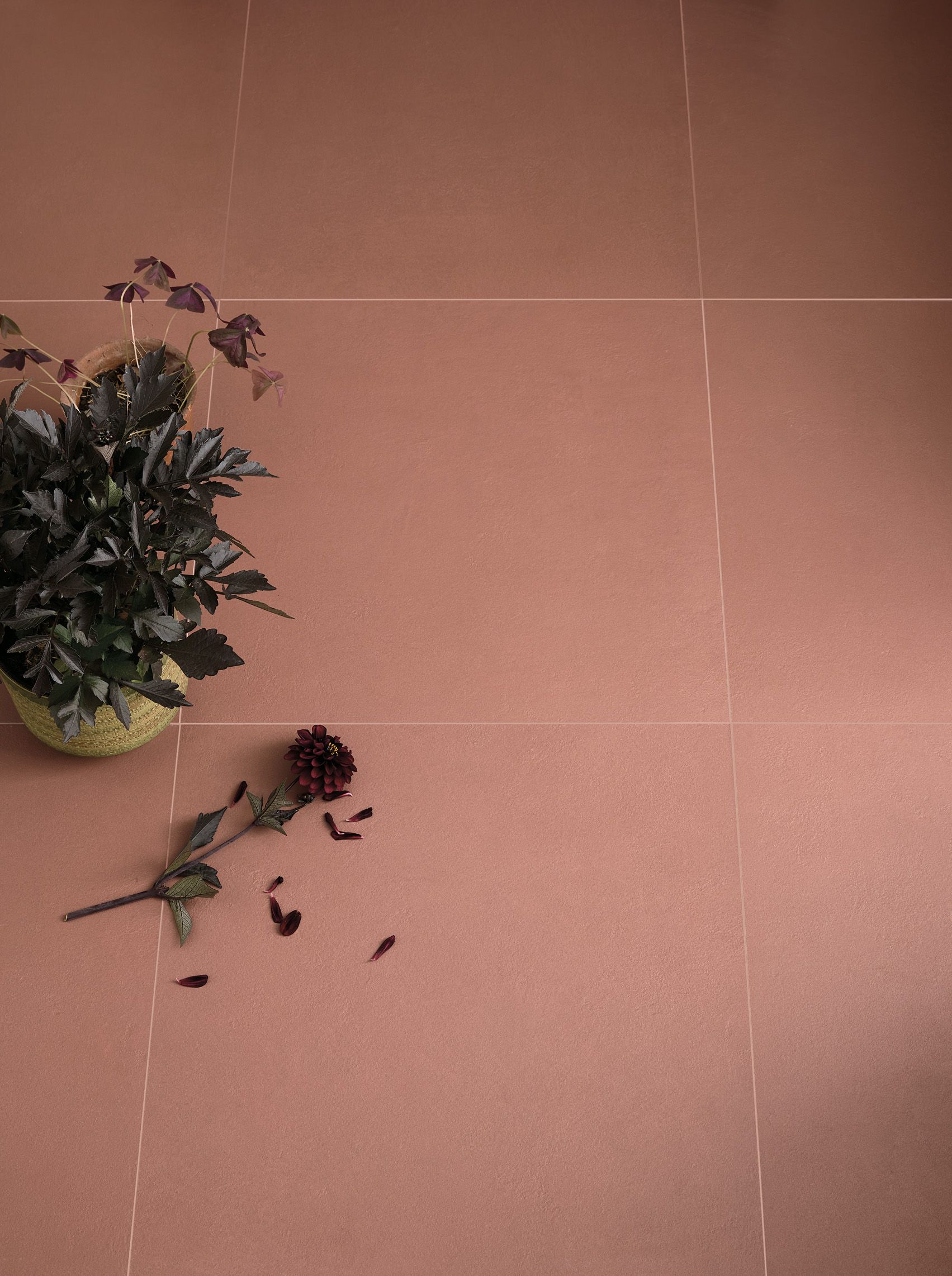 Tom Spring Tile Quench Tom Collins 60x60cm | Coloured Full Body Porcelain Tile