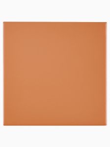 Macaron Caramel 15 x 15cm Terracotta Glazed Square Wall Tile