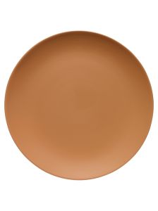 Saffron Tan Emulsion and Eggshell paint